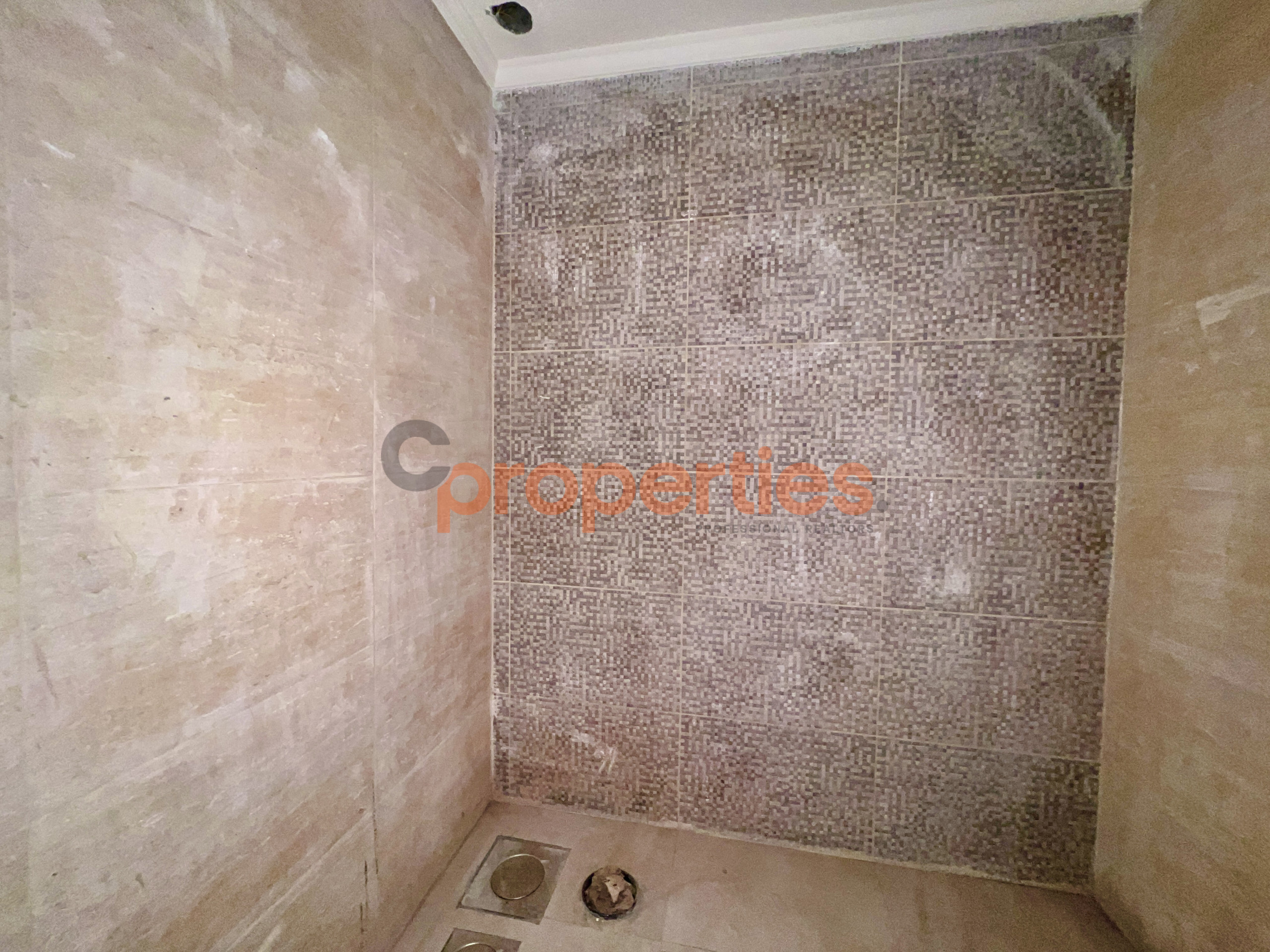 5C50D2A5-AE66-4577-8FFF-F152736EC3F9_1_201_a